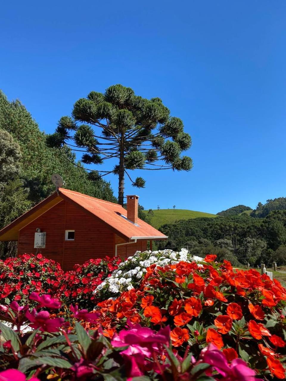 Chales Canto Da Serra Monte Verde  Zewnętrze zdjęcie